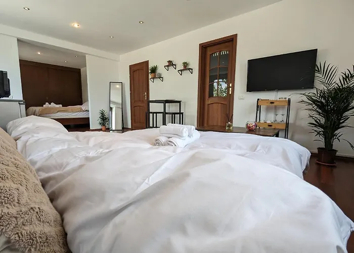 Horizon View - Lakefront Terrace Apartment Bucharest